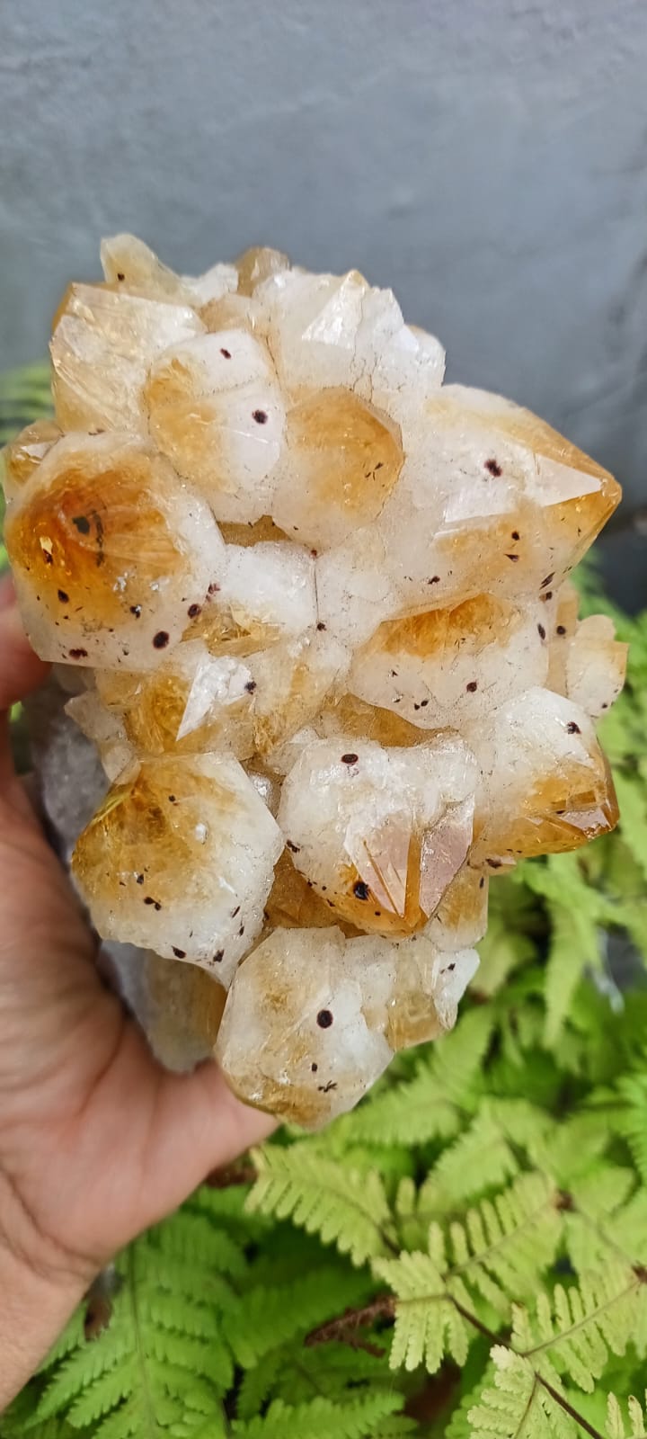 Citrino Natural x Ametista Queimada